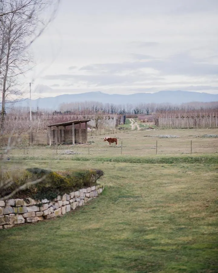 Cuna House L'Armentera Spanje